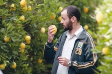 Il giardino di limoni