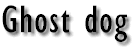Ghost dog - il codice del samurai di Jim Jarmusch