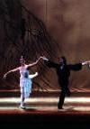 Balletto d'Europa
