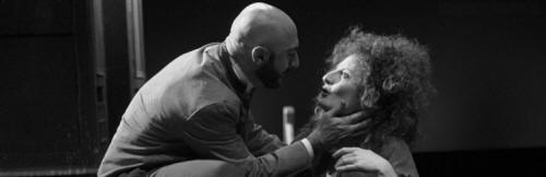 La bisbetica domata