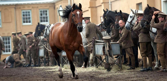 War Horse