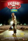 Ligabue Campovolo - Poster
