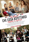 Che cosa aspettarsi quando si aspetta - Poster