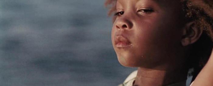 Re della terra selvaggia - Beasts of the Southern Wild