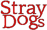 Stray Dogs