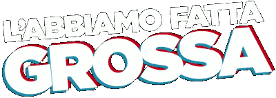 L'abbiamo fatta grossa