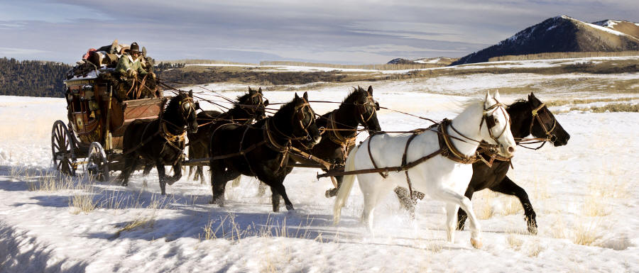 The Hateful Eight