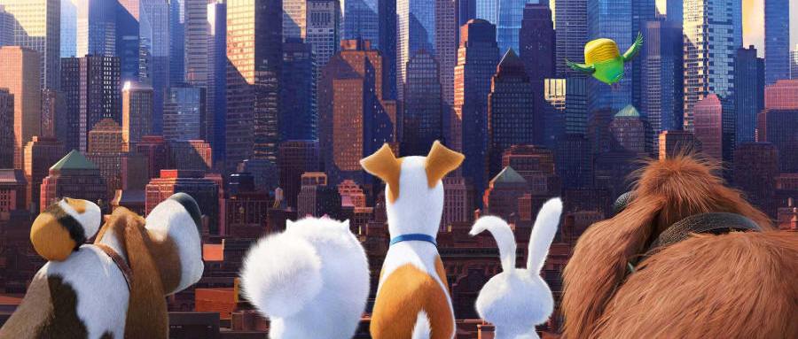 Pets - Vita da animali