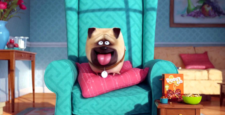Pets - Vita da animali