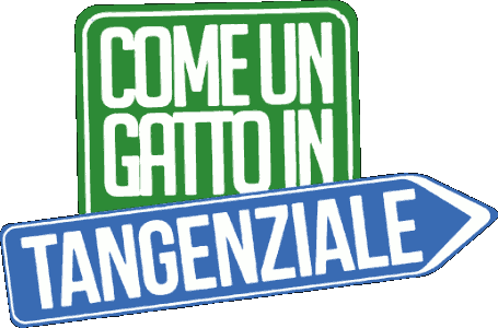 Come un gatto in tangenziale