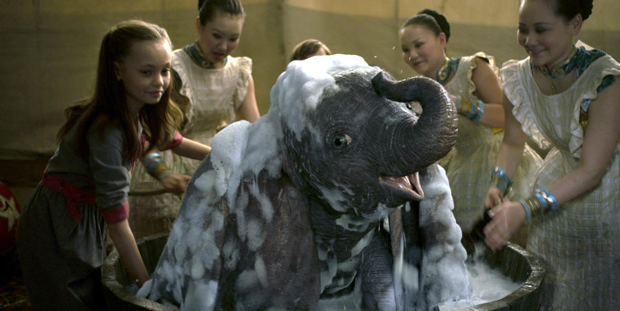 Dumbo
