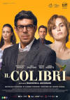 Il colibrì