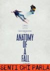 Anatomy of a Fall - Anatomia di una caduta