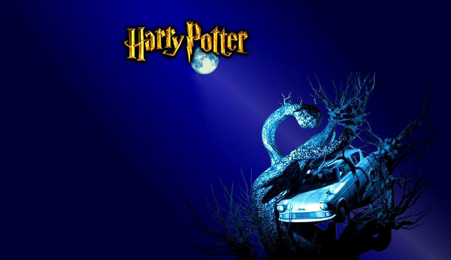 Harry Potter e la Camera dei Segreti