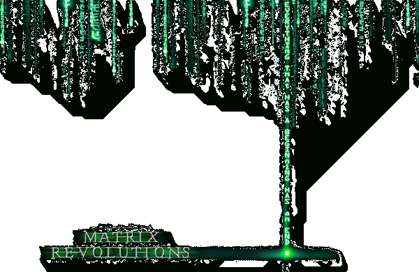 Matrix Revolutions
