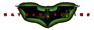 Batman begins