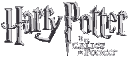 Harry Potter e il Calice di Fuoco