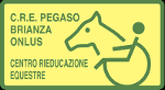 Pegaso